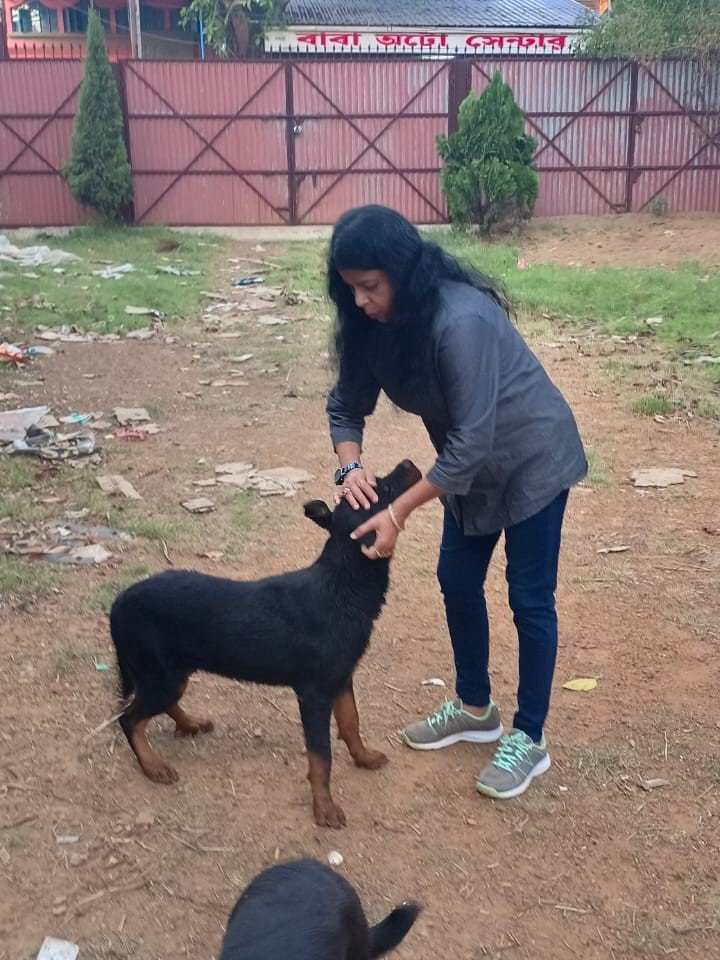 Compassion and care for animals
